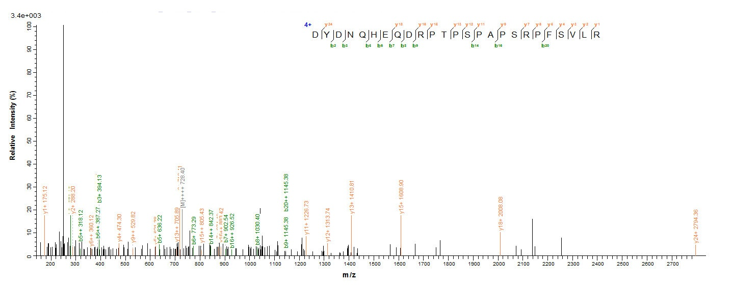 Viral ORF2 protein