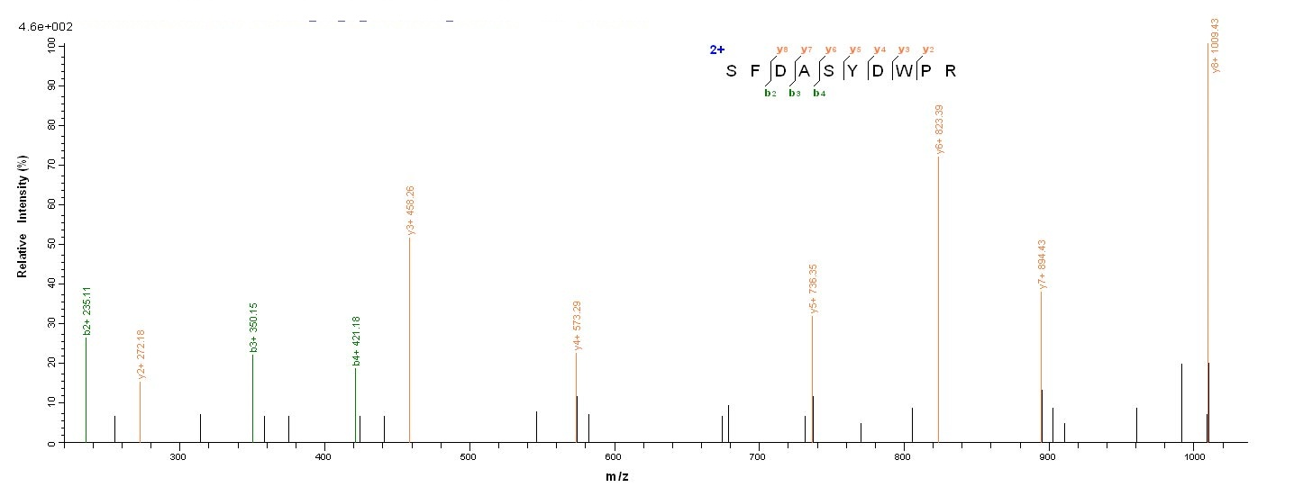 Bacterial lasA protein