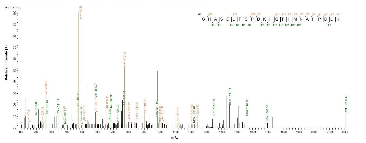 Viral VP40 protein