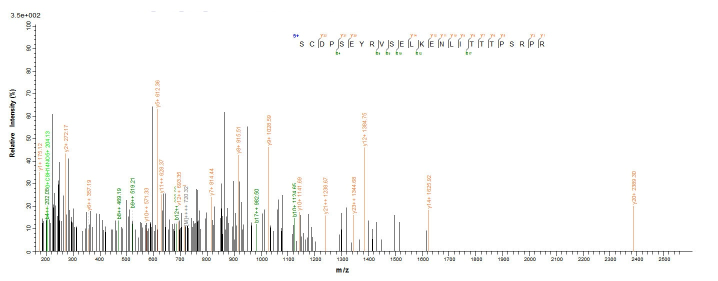 Viral VP3 protein