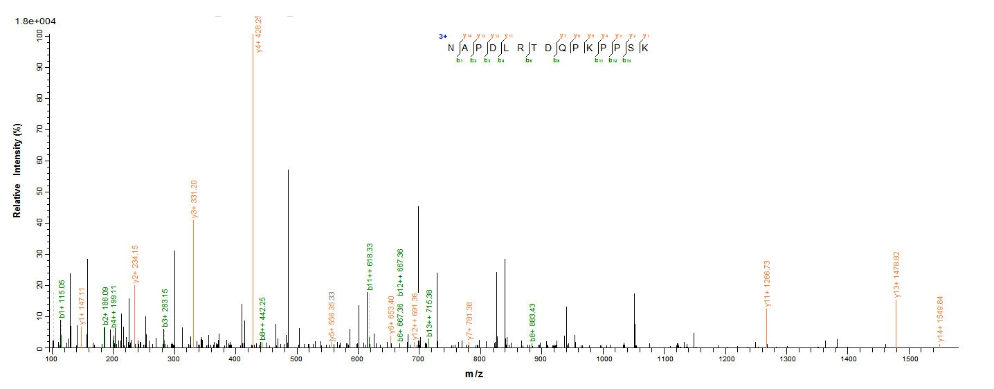 Viral VP3 protein