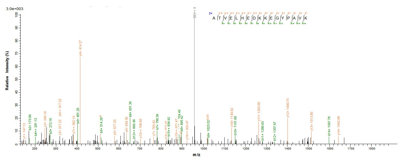 Mouse Pdk3 protein