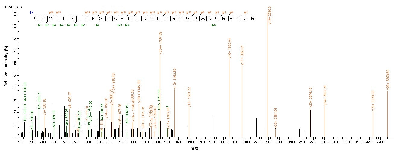 Human LSP1 protein