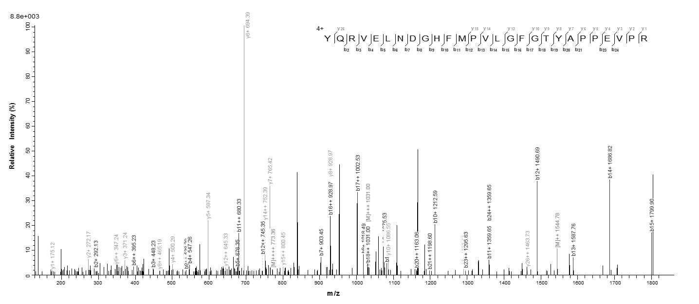 Human AKR1C4 protein
