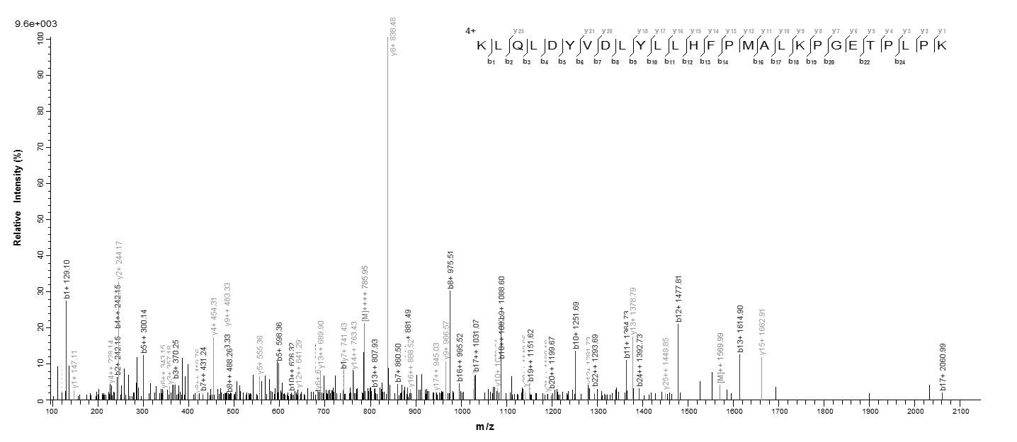 Human AKR1C4 protein