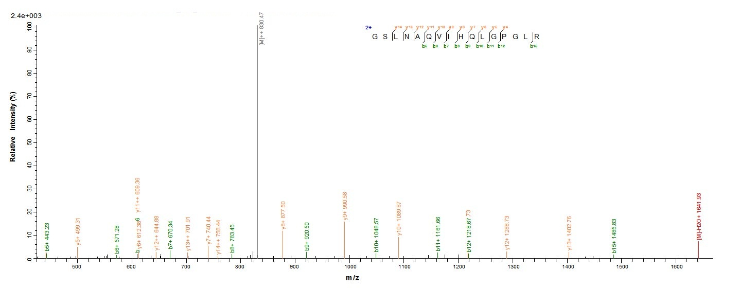 Human TOMM40 protein