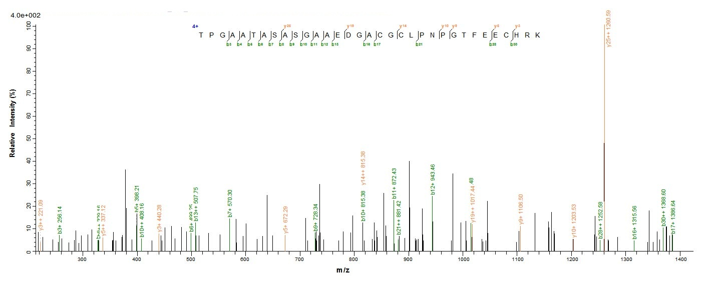 Human TOMM40 protein
