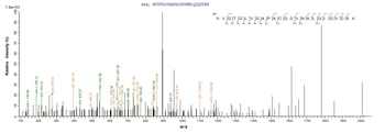 Human ISCU protein