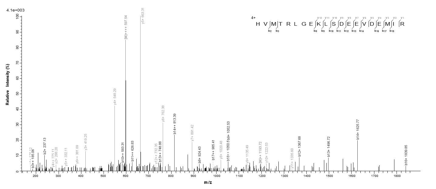 Human CALML3 protein