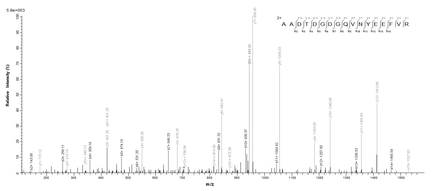 Human CALML3 protein
