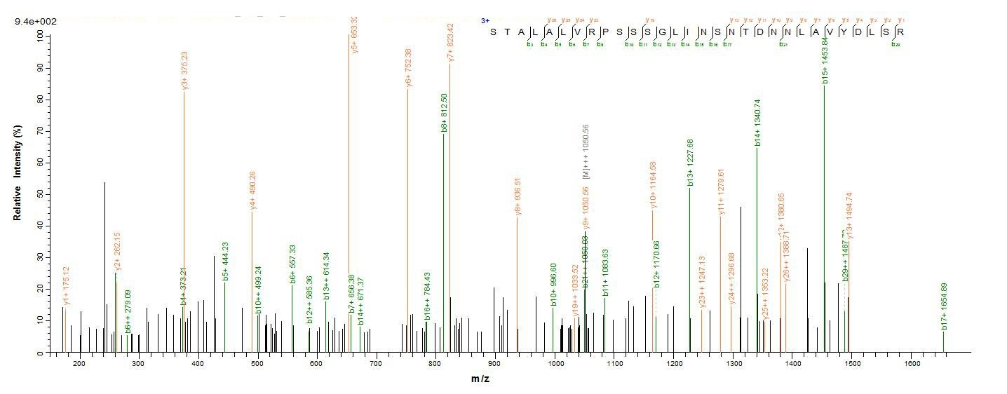 Human CT83 protein