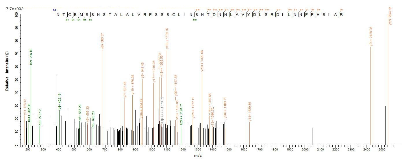 Human CT83 protein