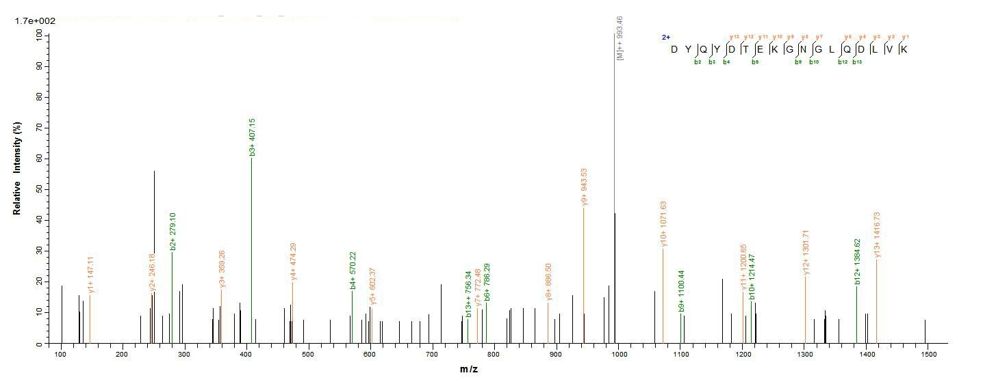 Bacterial lktA protein