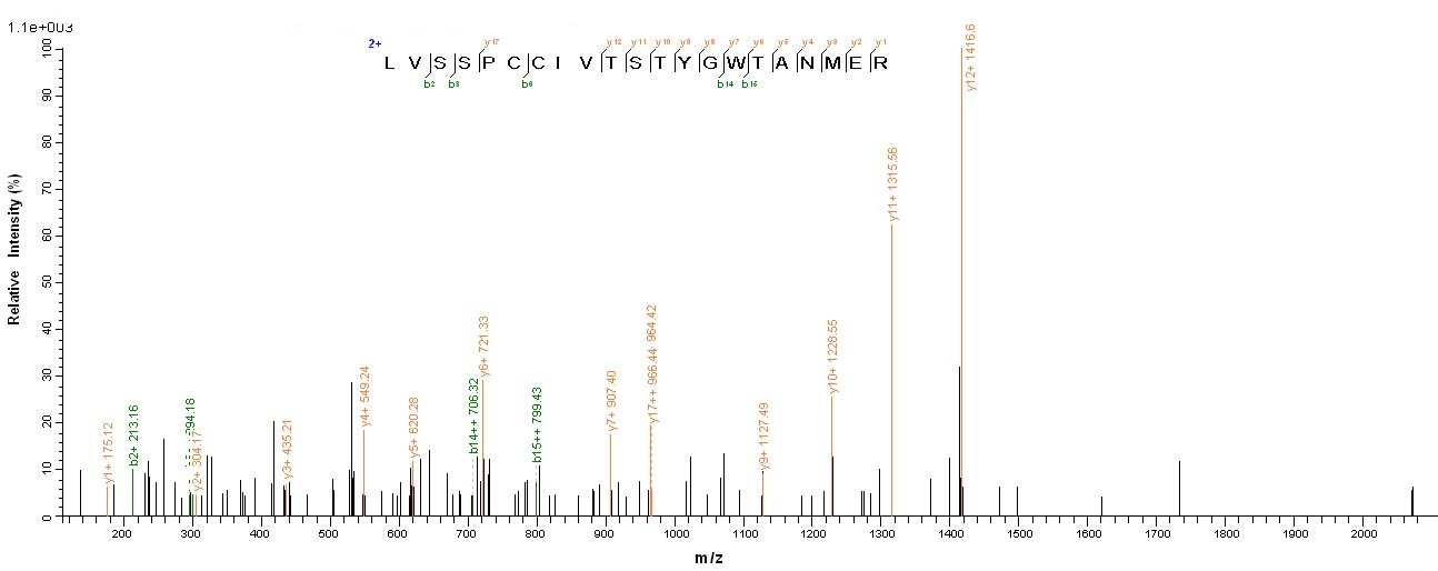 Human HSP90AB1 protein