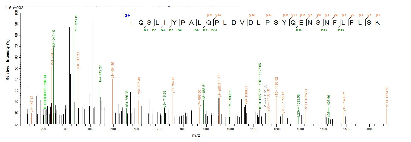 Human AADAC protein