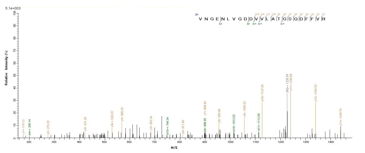 Bacterial caf1 protein