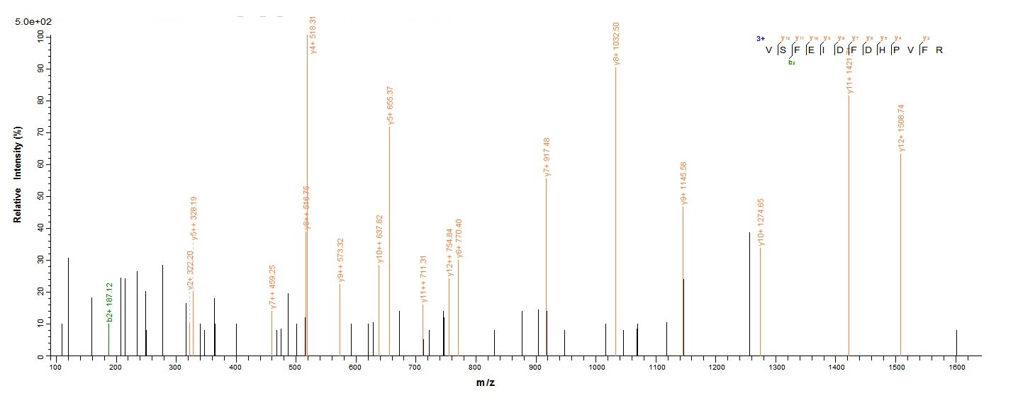 Bacterial lpxC protein