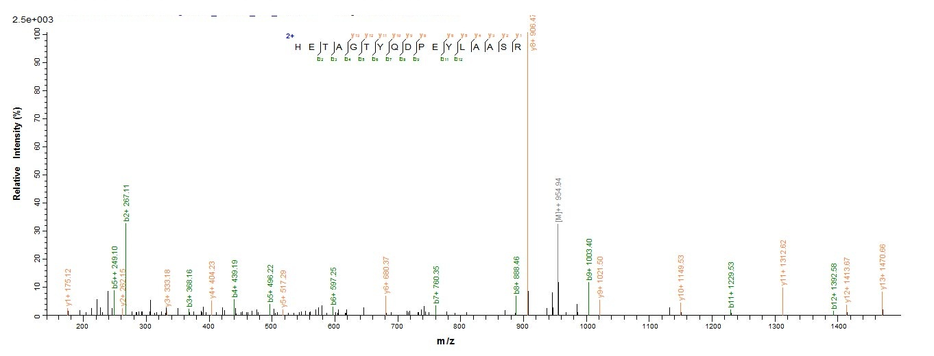Bacterial laaA protein
