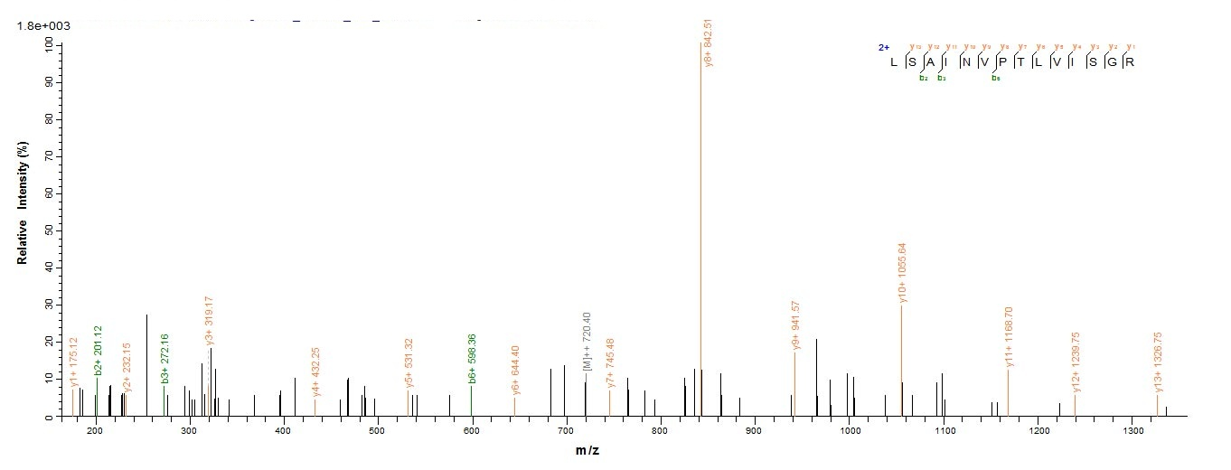 Bacterial laaA protein