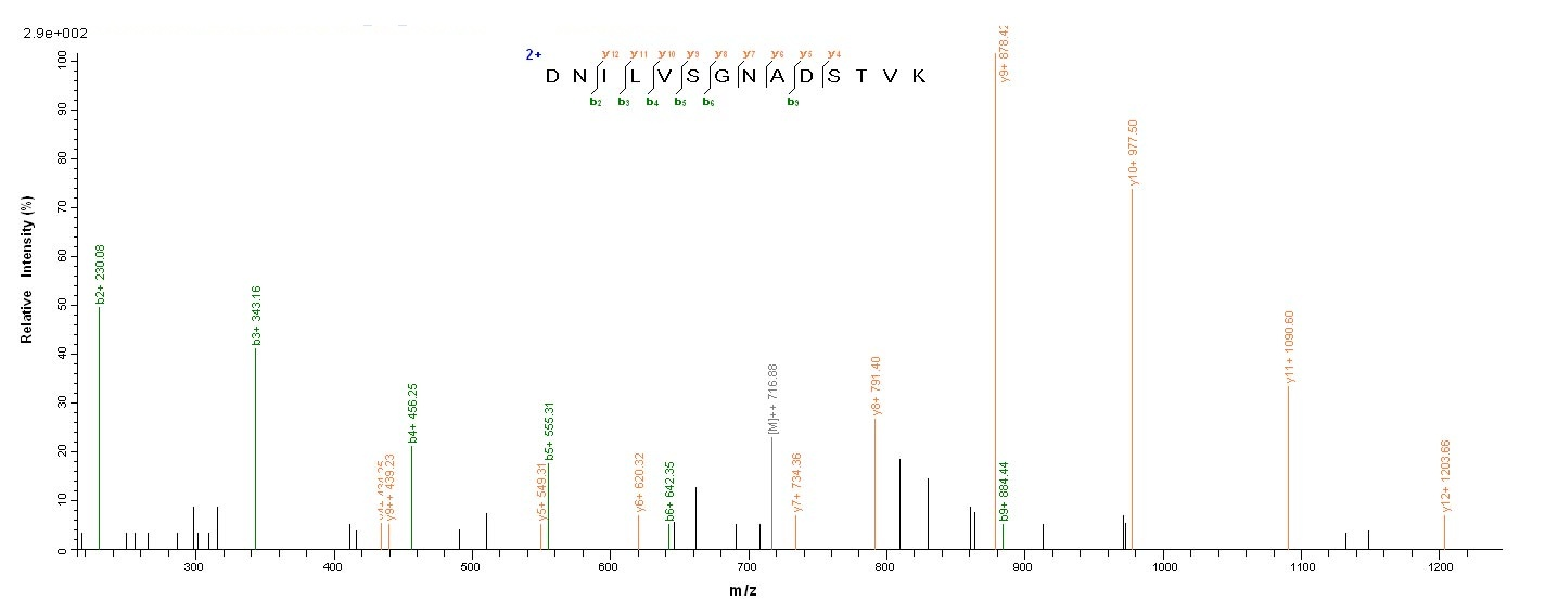 Human FBXW7 protein
