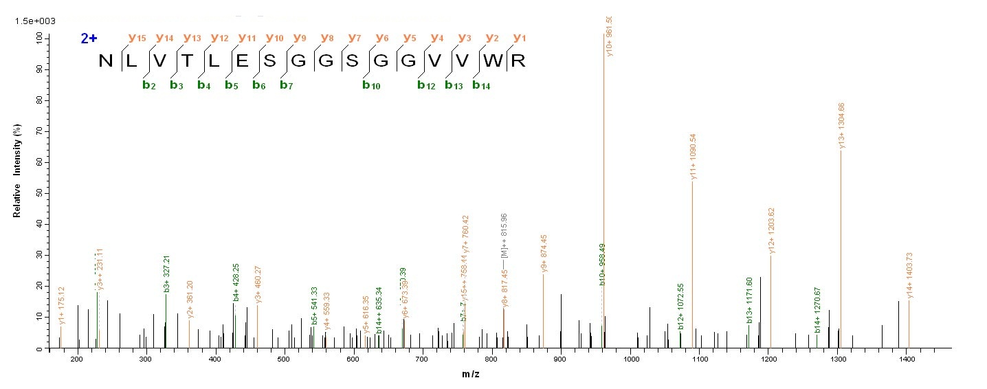 Human FBXW7 protein