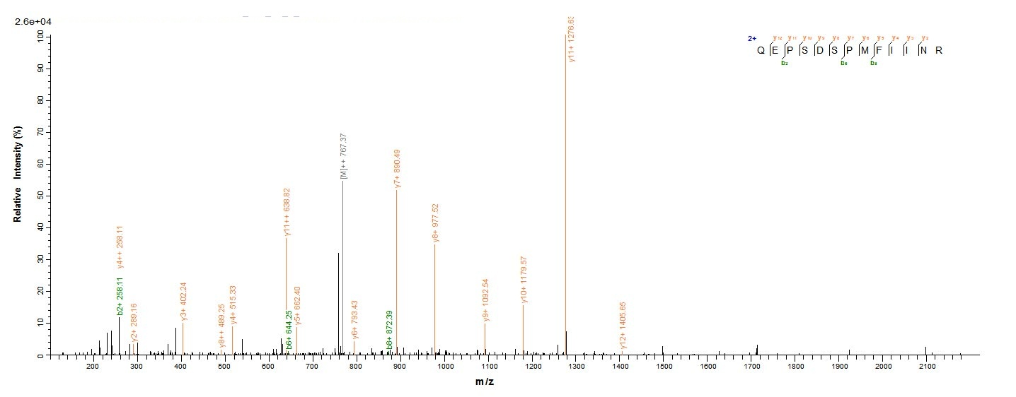 human DSG1 protein