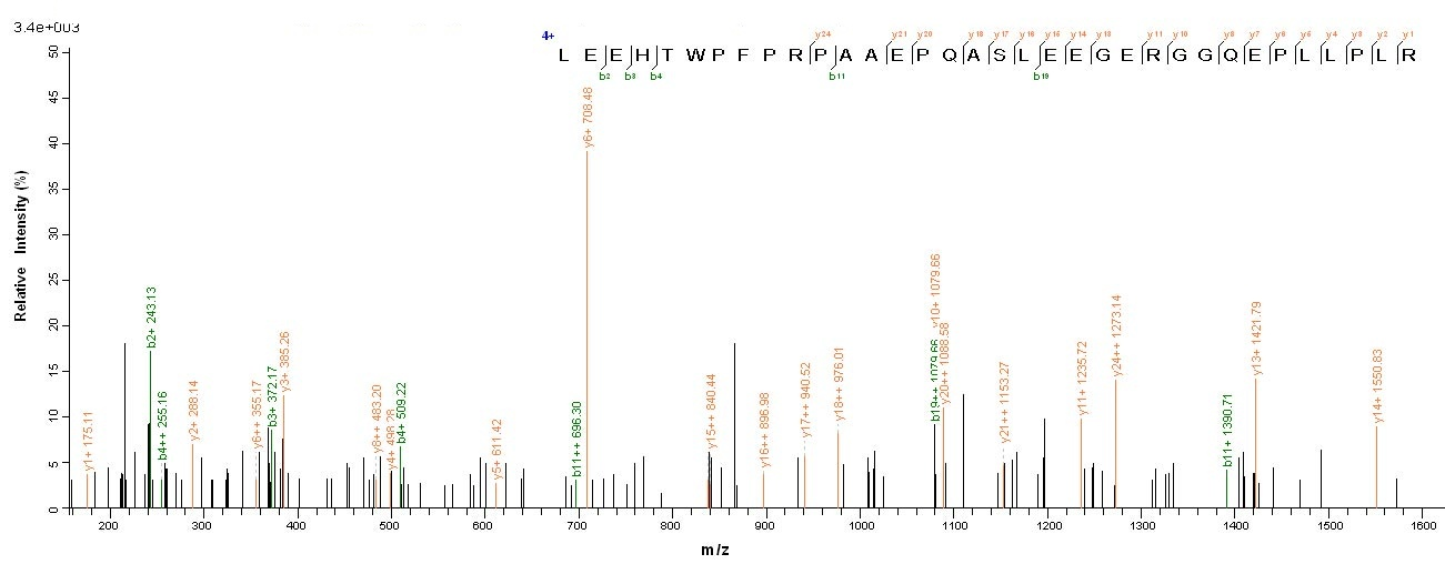 human FAM167A protein