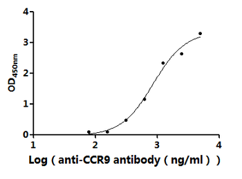 CCR9 Antibody