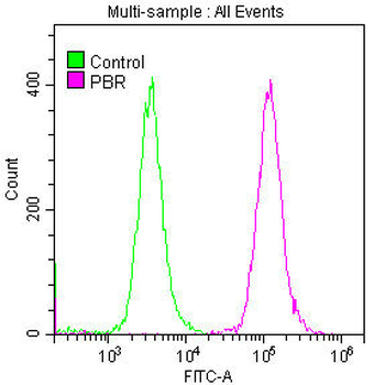 TSPO Antibody