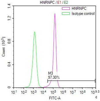 HNRNPC Antibody