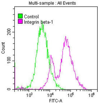 ITGB1 Antibody