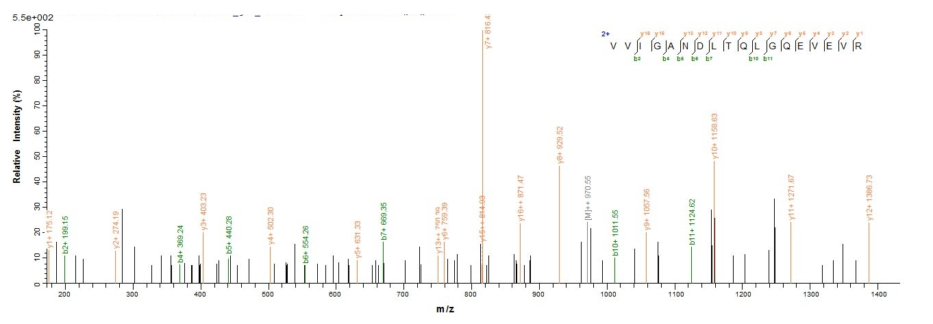 Aves Acrosin protein