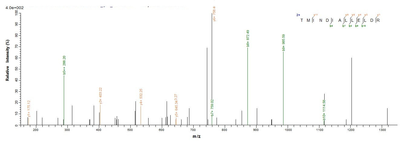 Aves Acrosin protein
