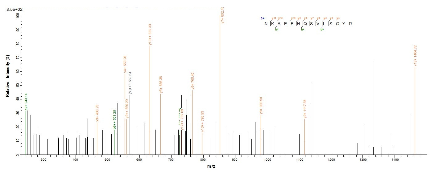 Mouse Dsg3 protein