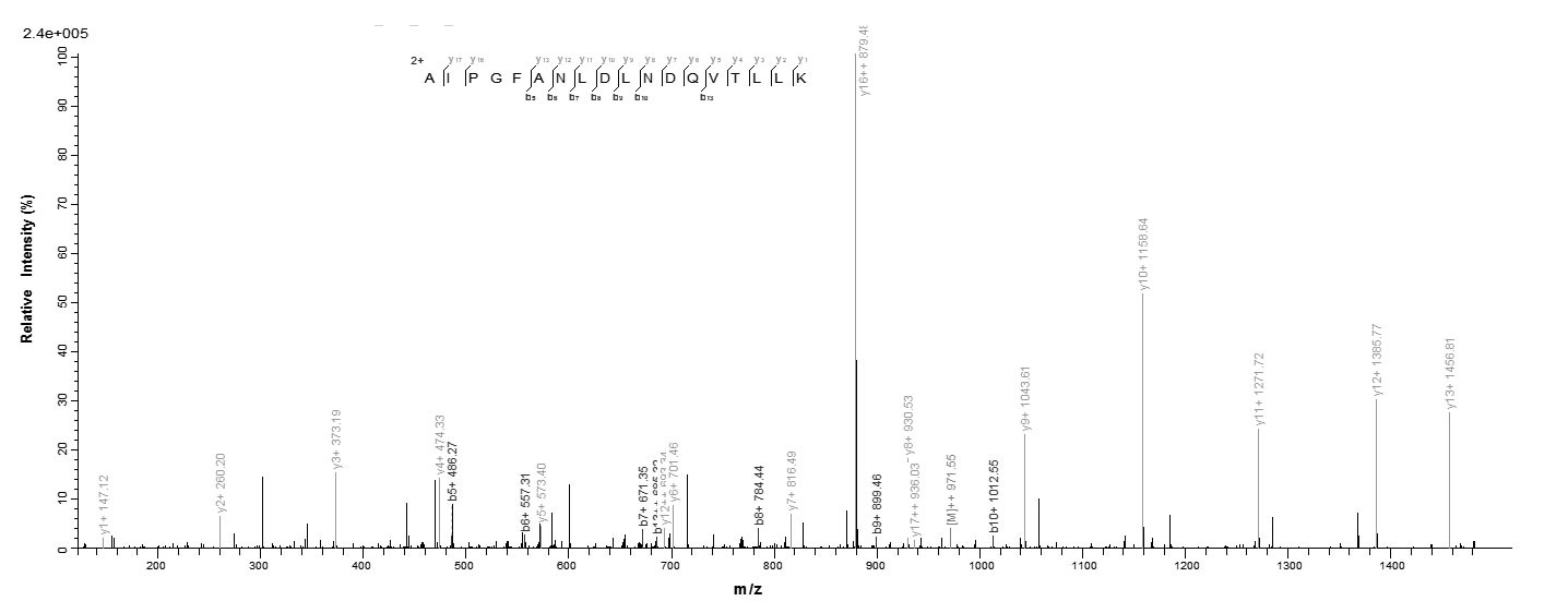 Human PPARA protein