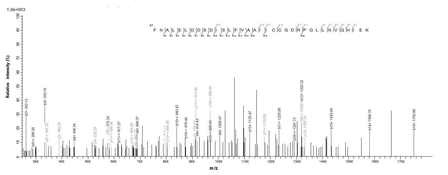 Human PPARA protein