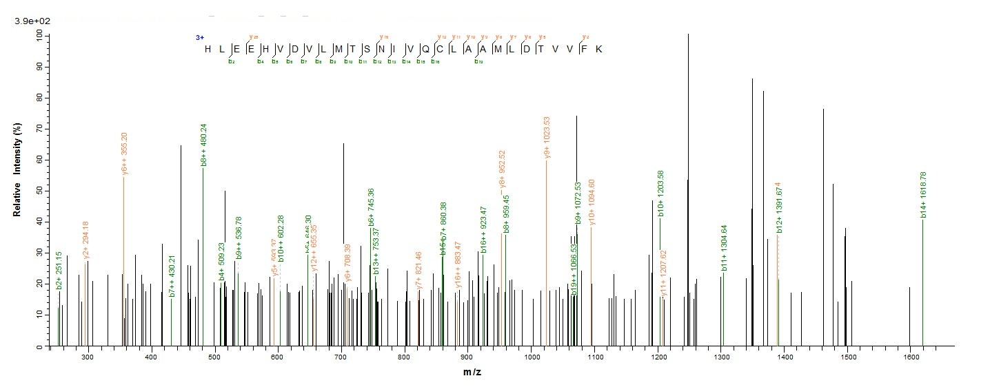 Human PSMD14 protein