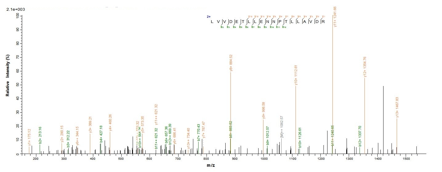 Virus ply protein