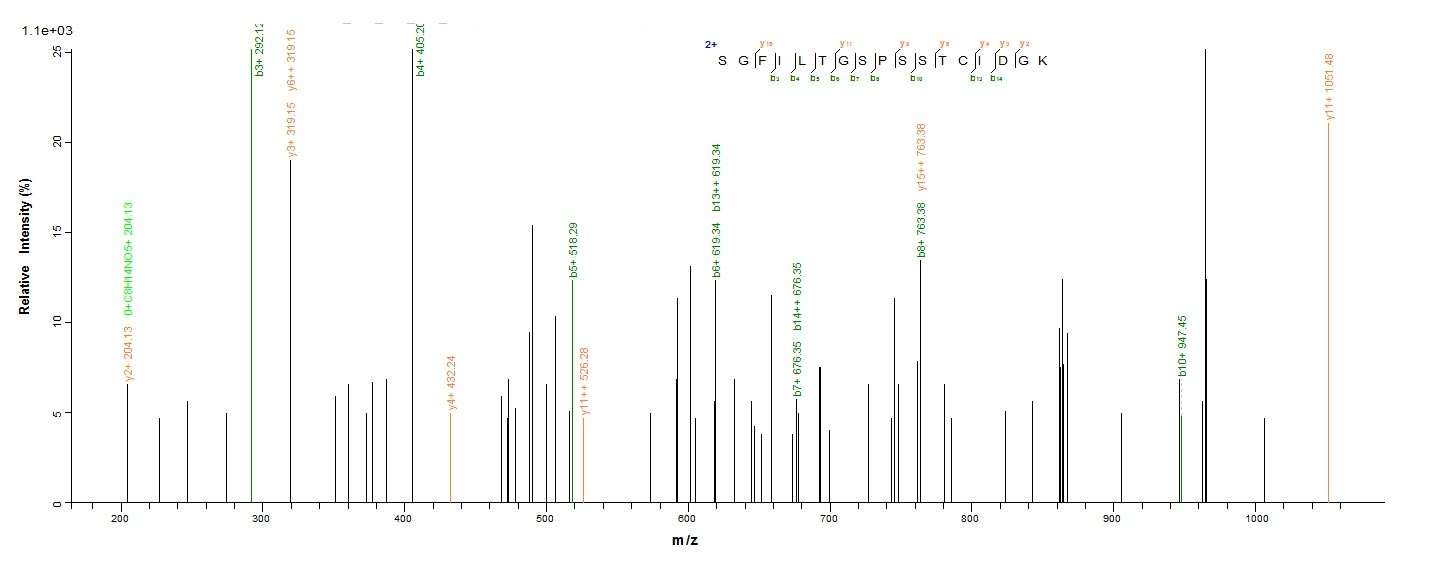 Virus PS/HR protein
