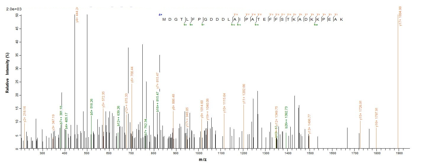 Virus A27L protein