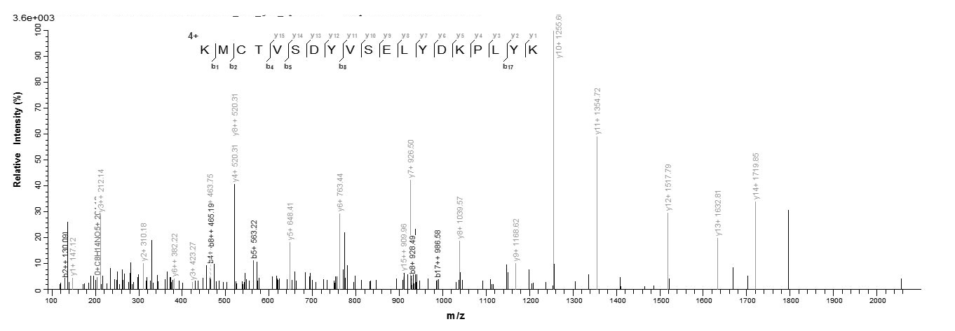 Virus PS/HR protein