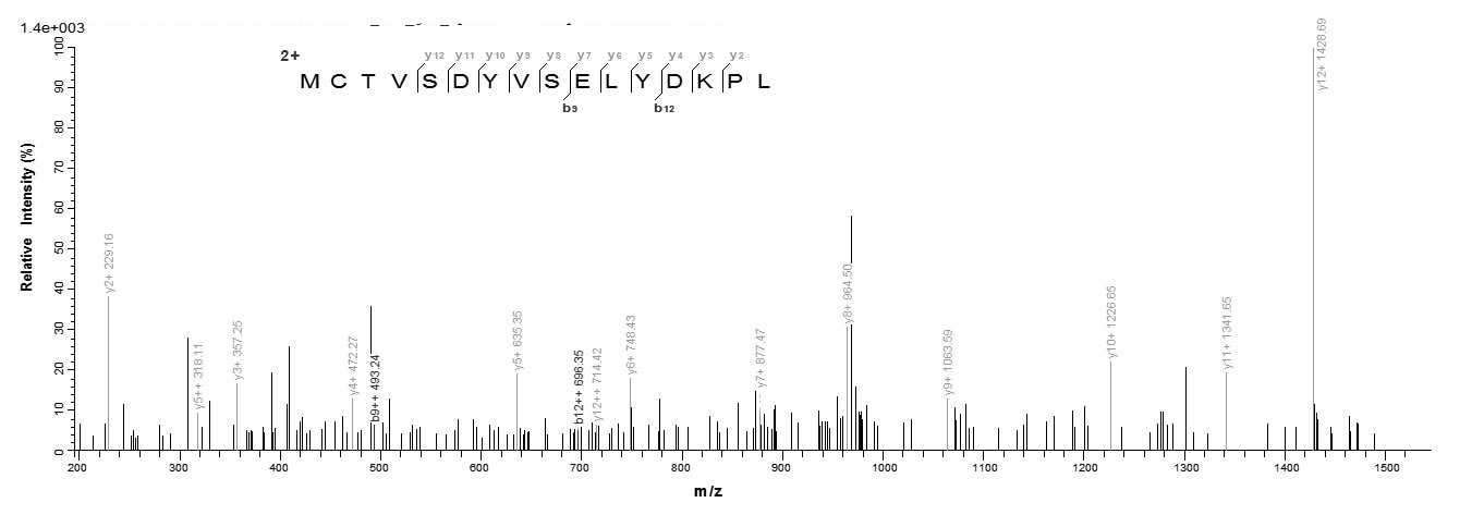 Virus PS/HR protein