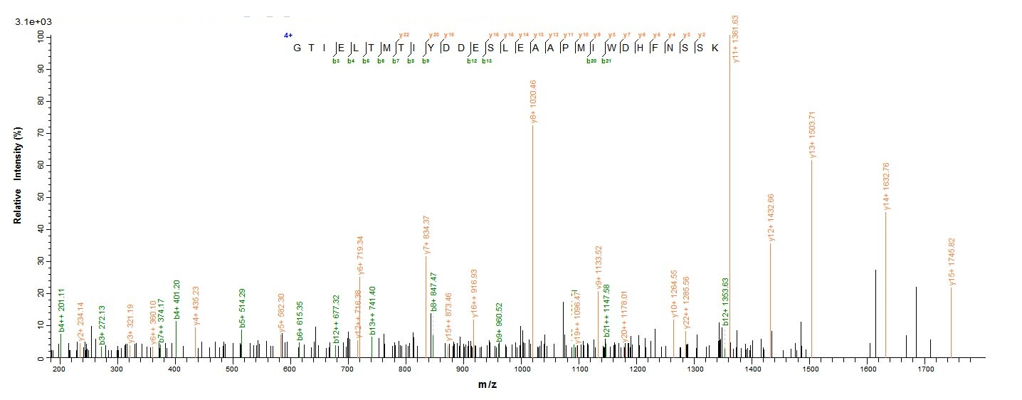 Virus M protein