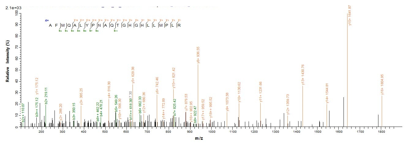 Virus DBP protein