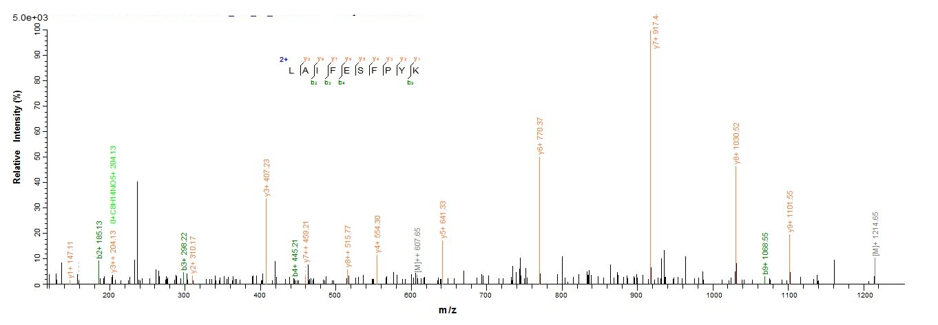 Bacteria acpS protein