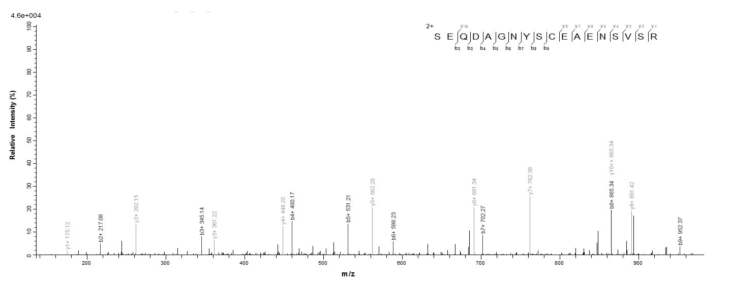 Human FCRL6 protein