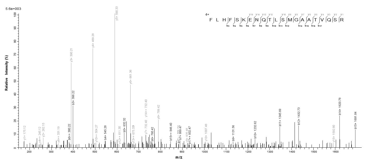 Human FCRL6 protein