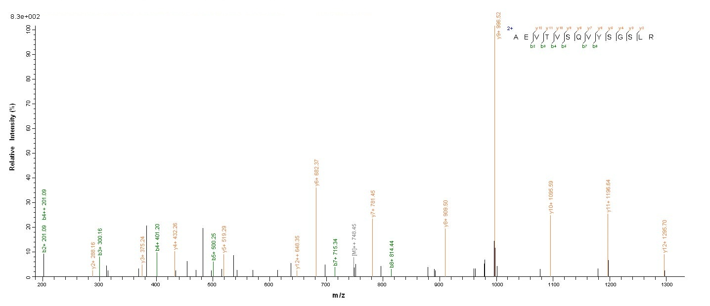 Mouse Tmprss6 protein