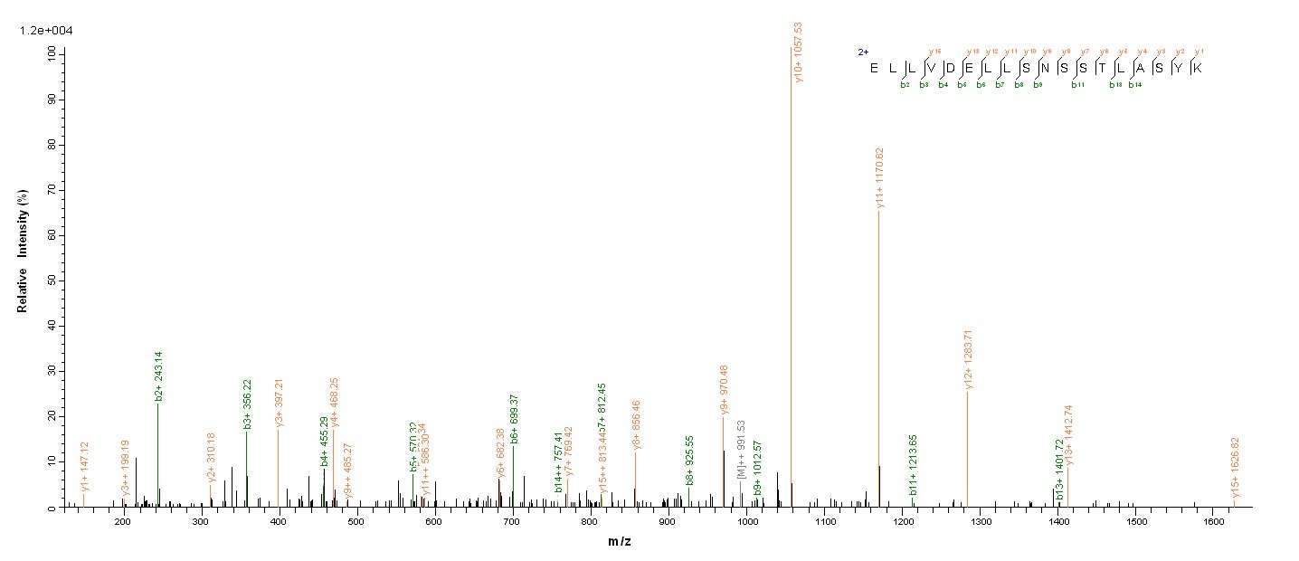 Mouse Tmprss6 protein