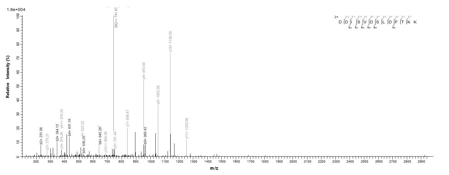 Human PPP2R2C protein